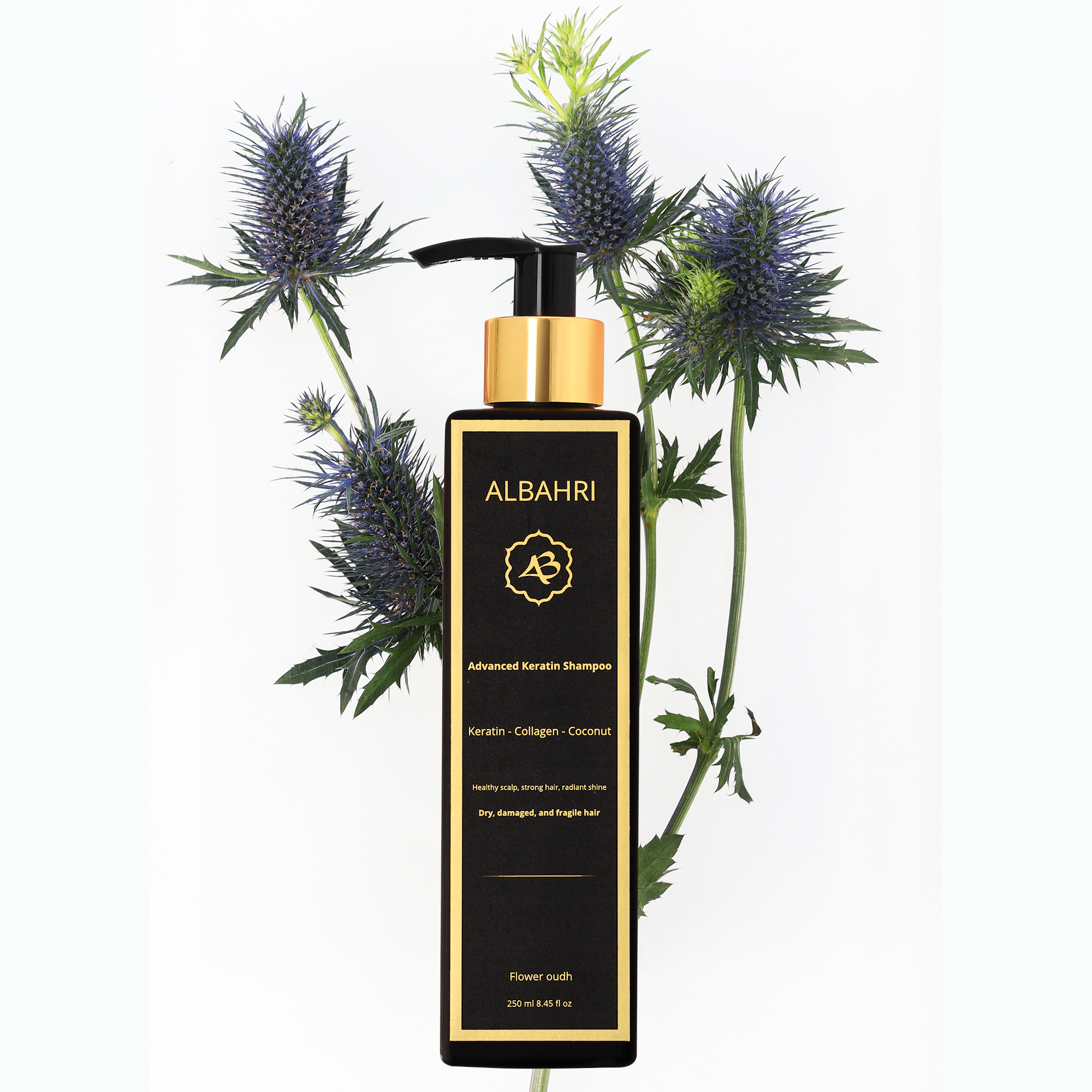ALB_002SettingShampoo_1302f710-6f46-4e12-88b1-c1cecca5b074.png